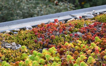 the cost of Forest Coal Pit green roof installation