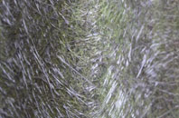 Forest Coal Pit fibreglass roof work